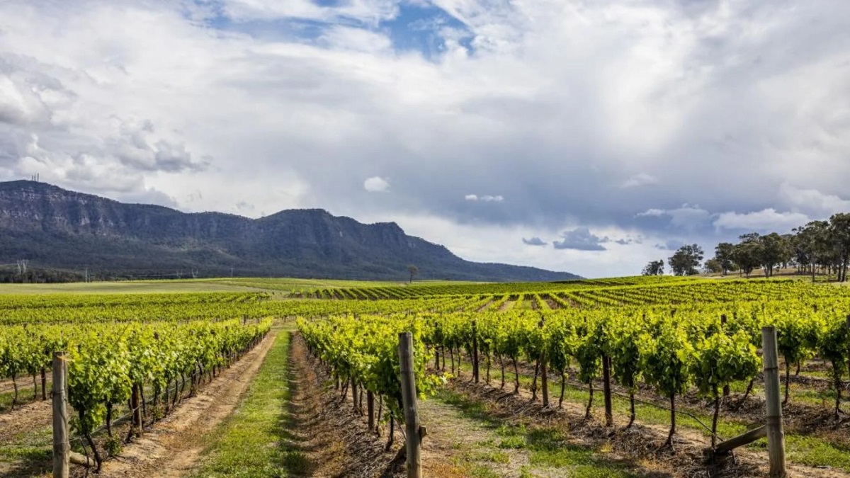 Vùng làm vang Hunter Valley