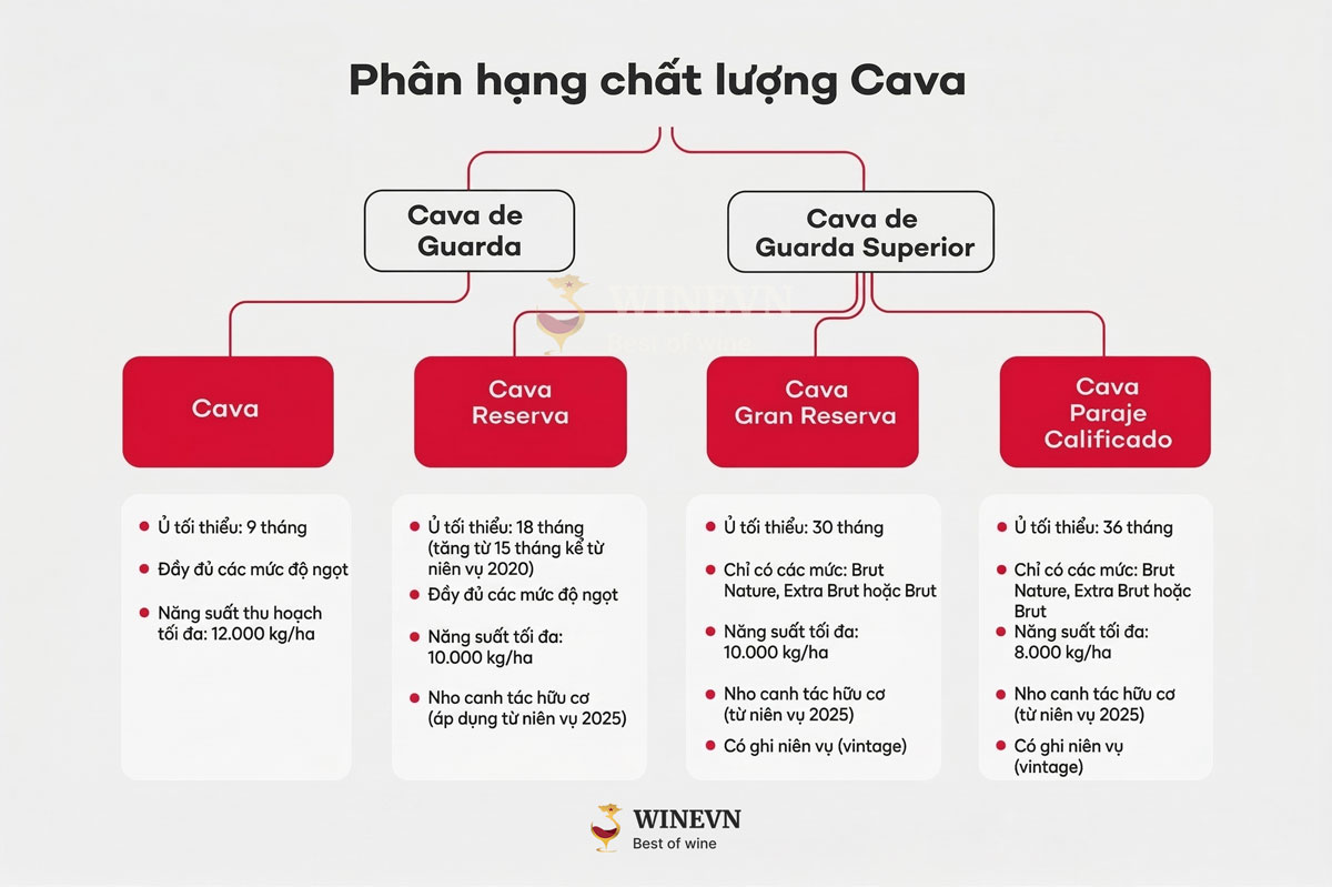 Phân hạng chất lượng của rượu vang sủi Cava