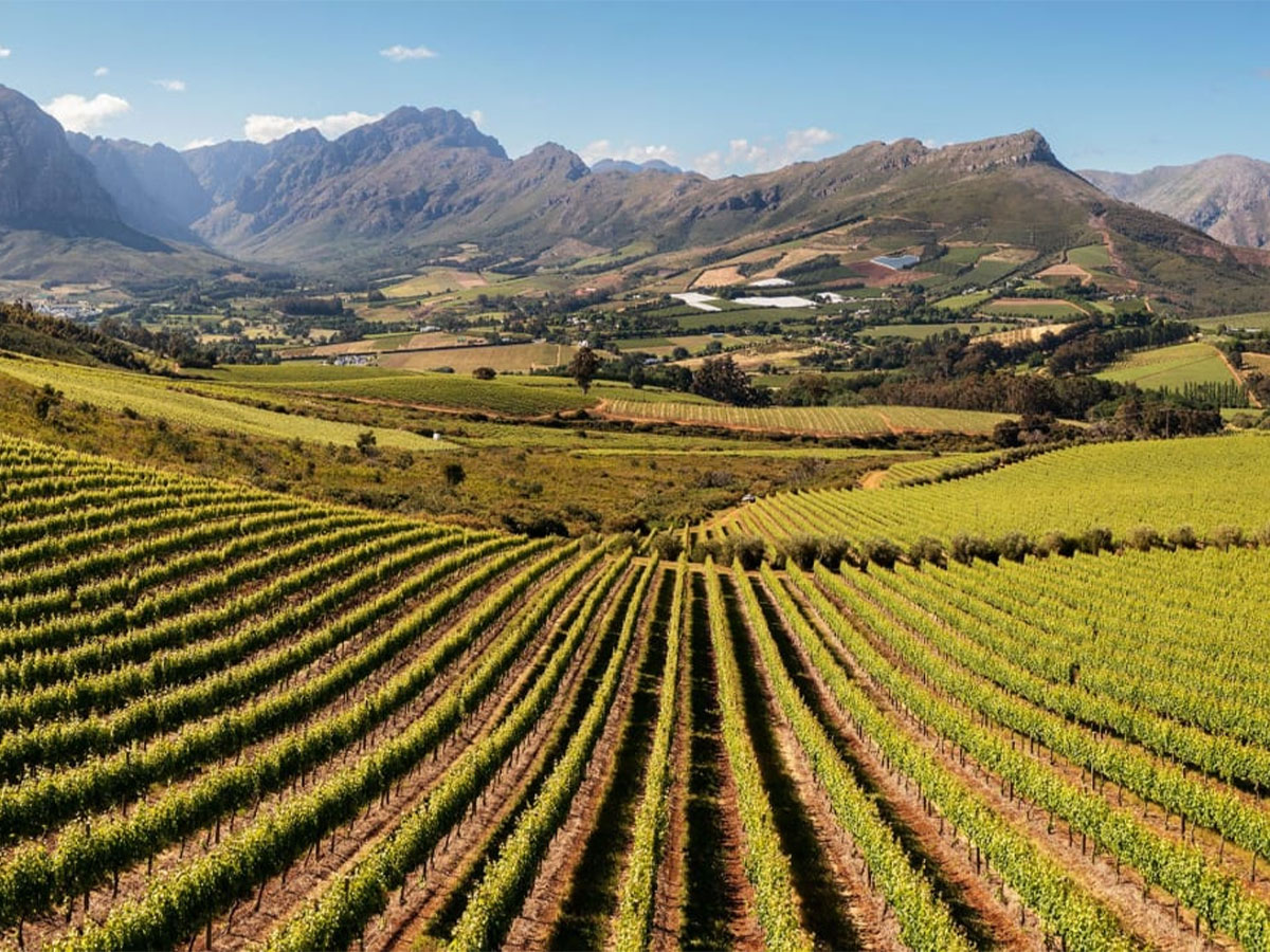 Stellenbosch