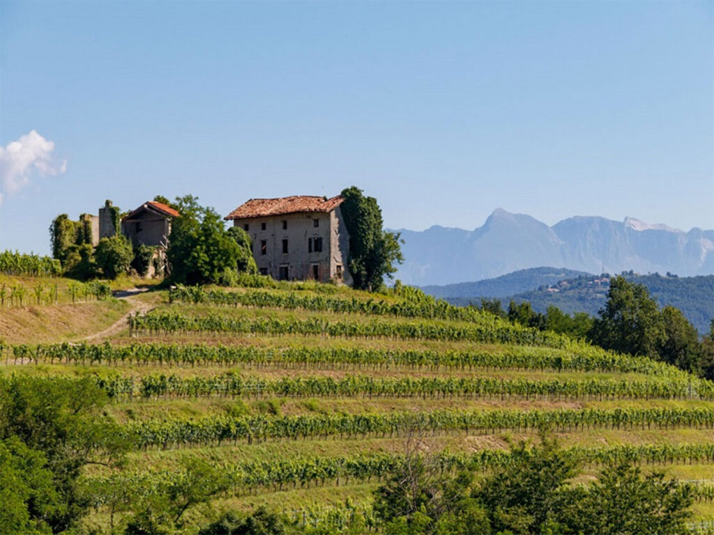 Rượu Vang Friuli-Venezia Giulia