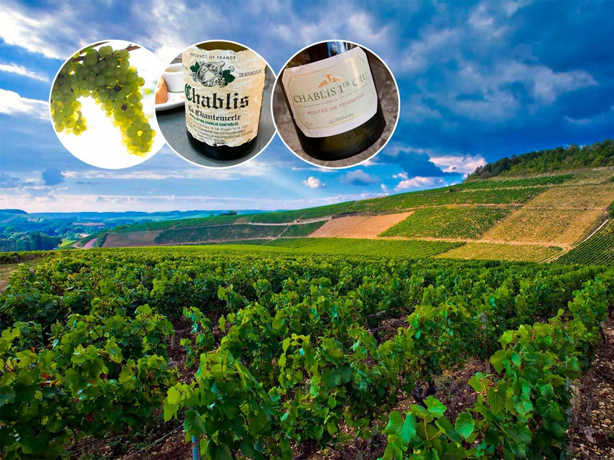 Vùng Chablis
