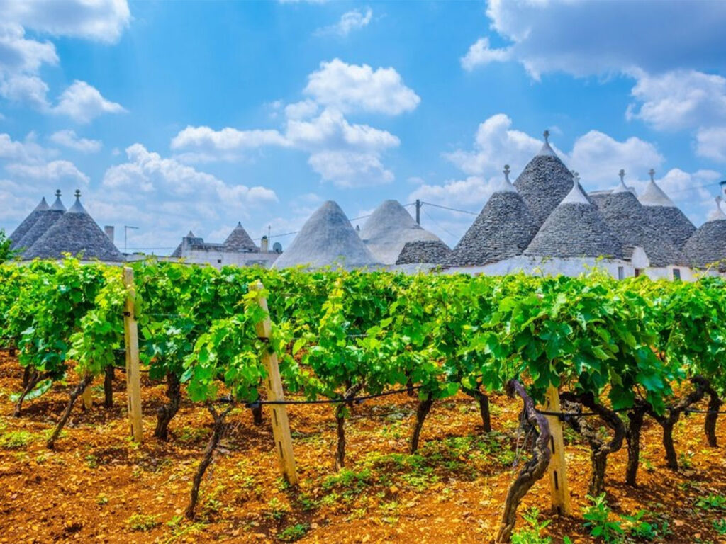 Rượu vang Puglia