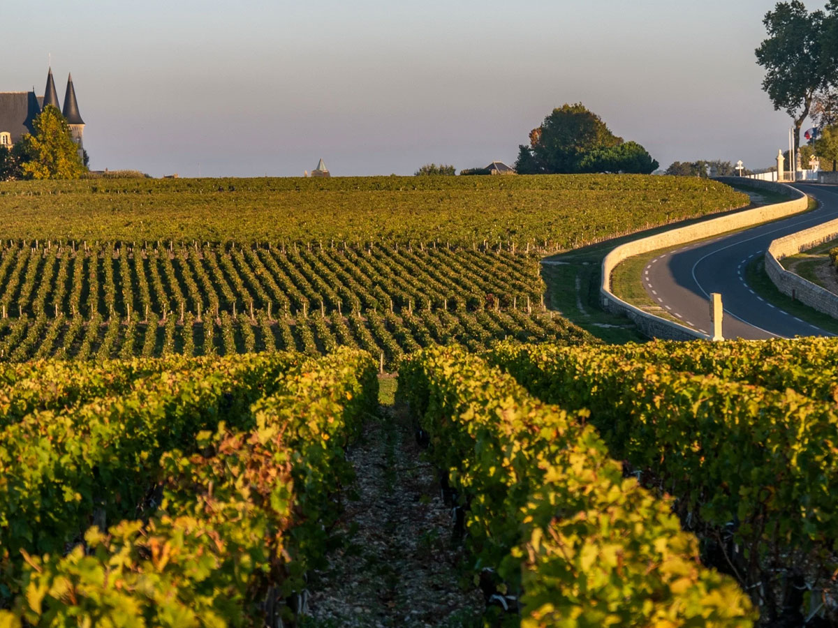 Vùng Pauillac