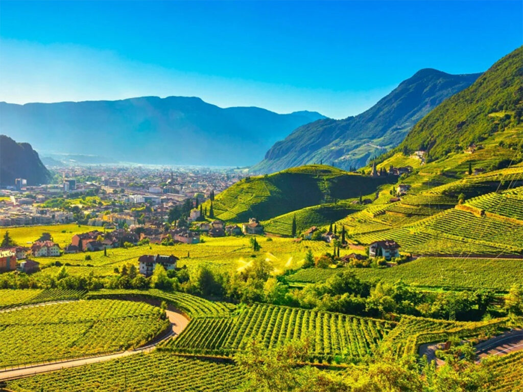 Rượu Vang Trentino Alto-Adige