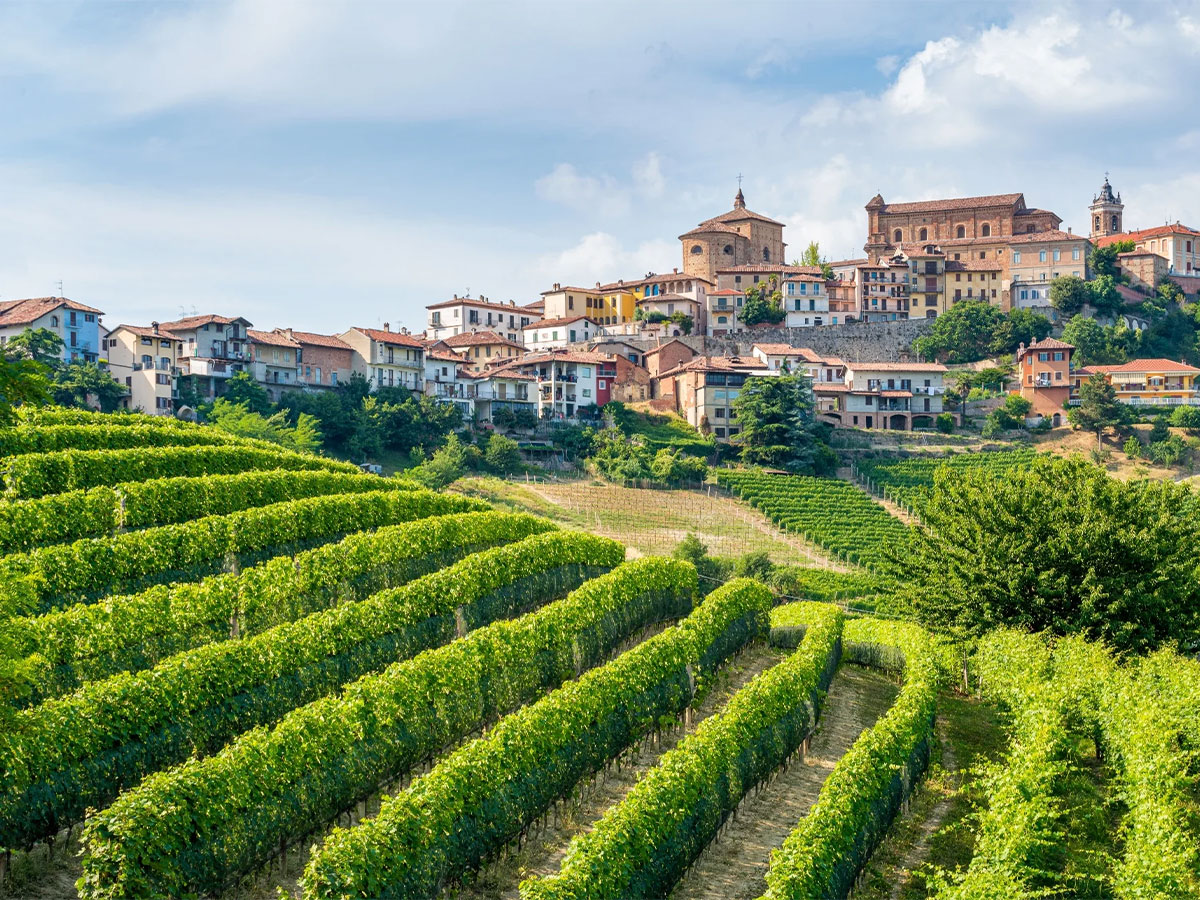Vùng Barolo