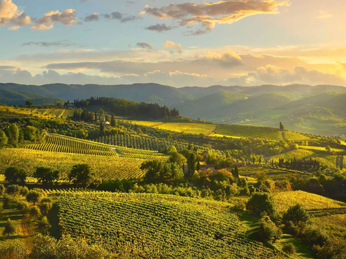 Vùng Chianti
