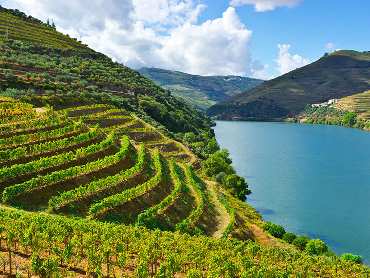 Vùng Douro
