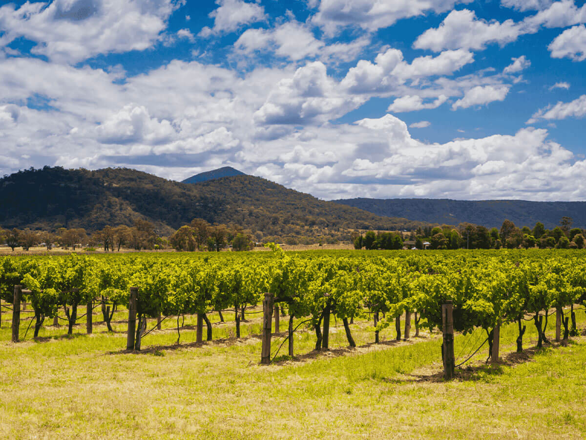 Vùng Hunter Valley