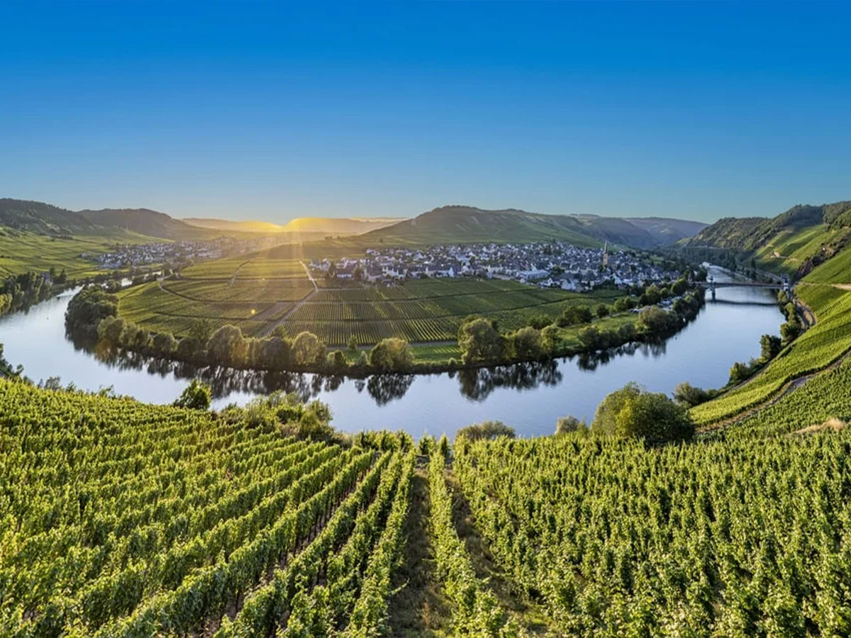 Vùng Mosel