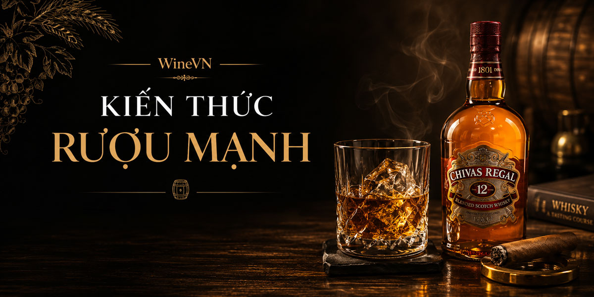 Banner kiến thức rượu mạnh