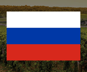 Vodka Nga