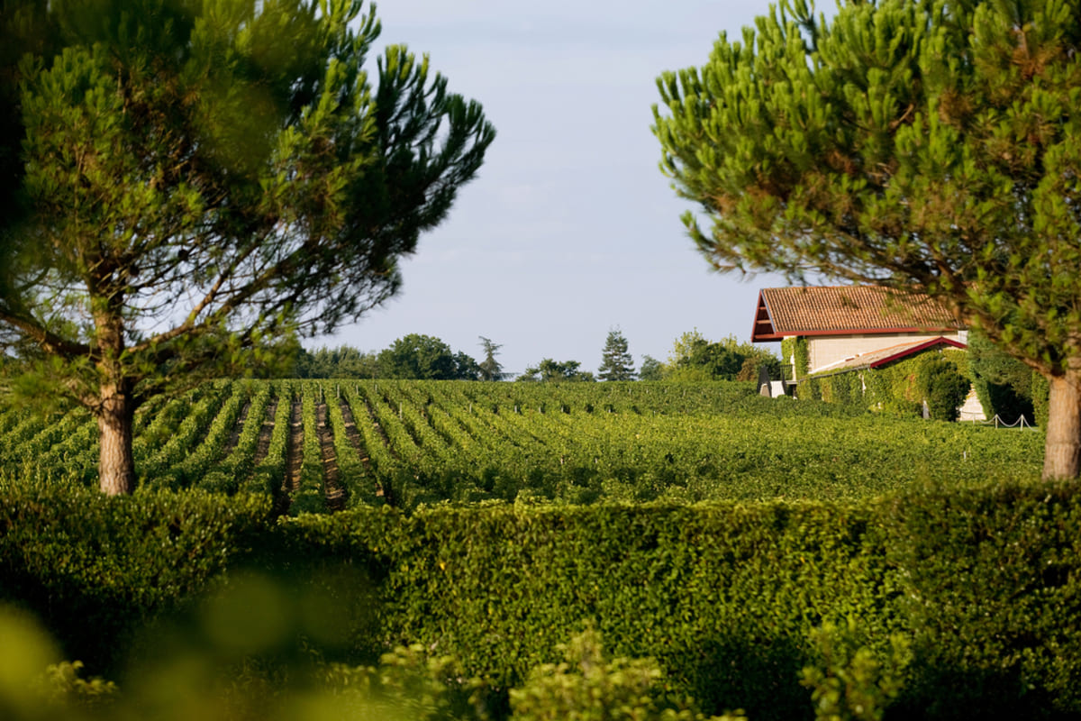 Quy mô vùng rượu Pessac-Léognan