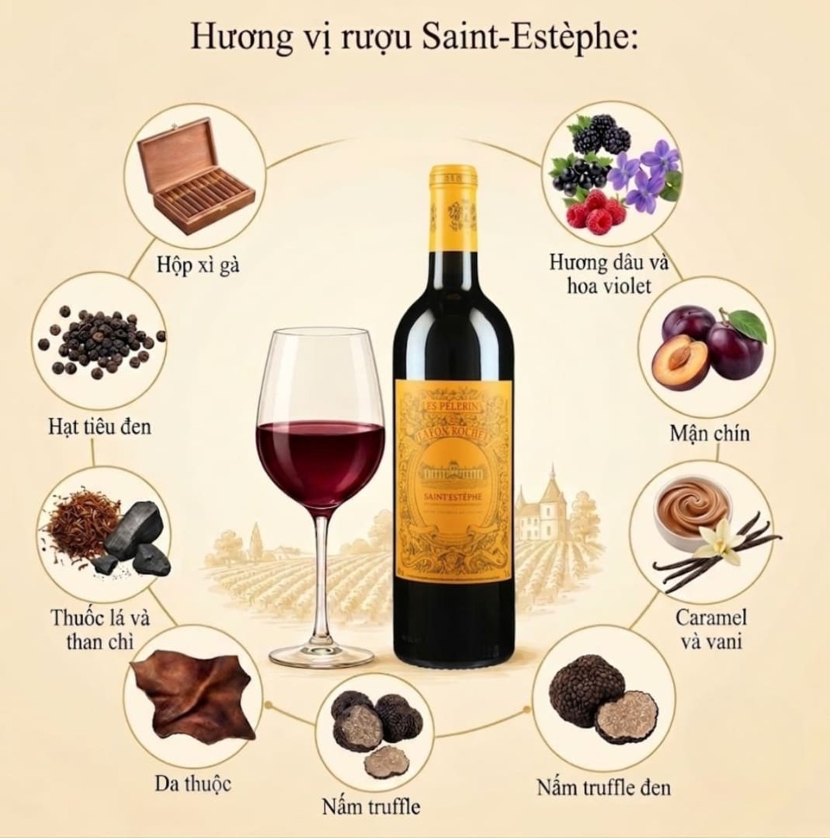vang đỏ Saint-estèphe