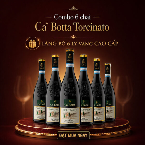 Banner ưu đãi Ca' Botta Torcinato