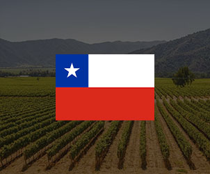 Vang Chile