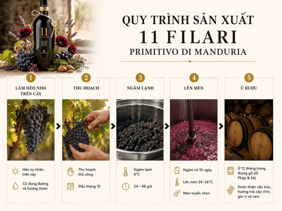 Sản xuất vang 11 Filari Primitivo di Manduria