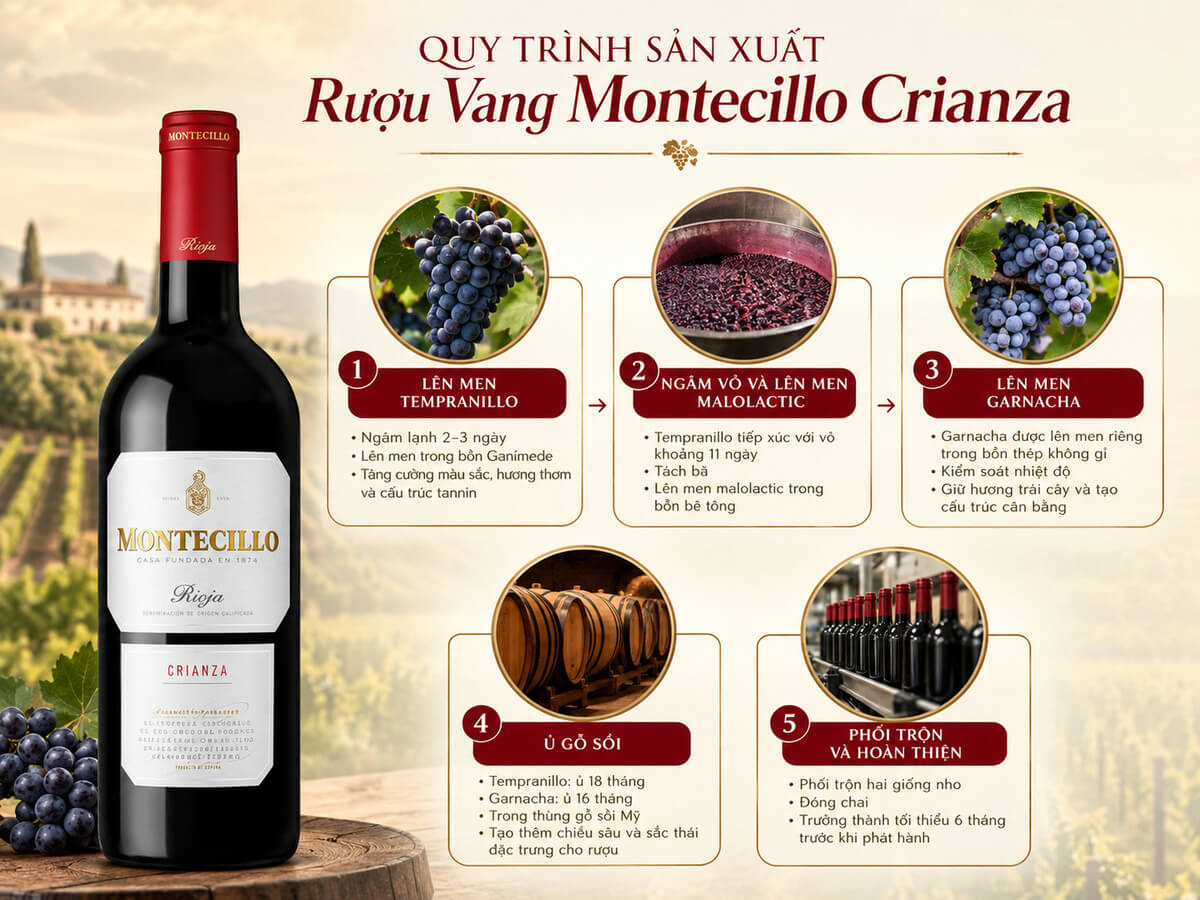 Sản xuất Montecillo Crianza