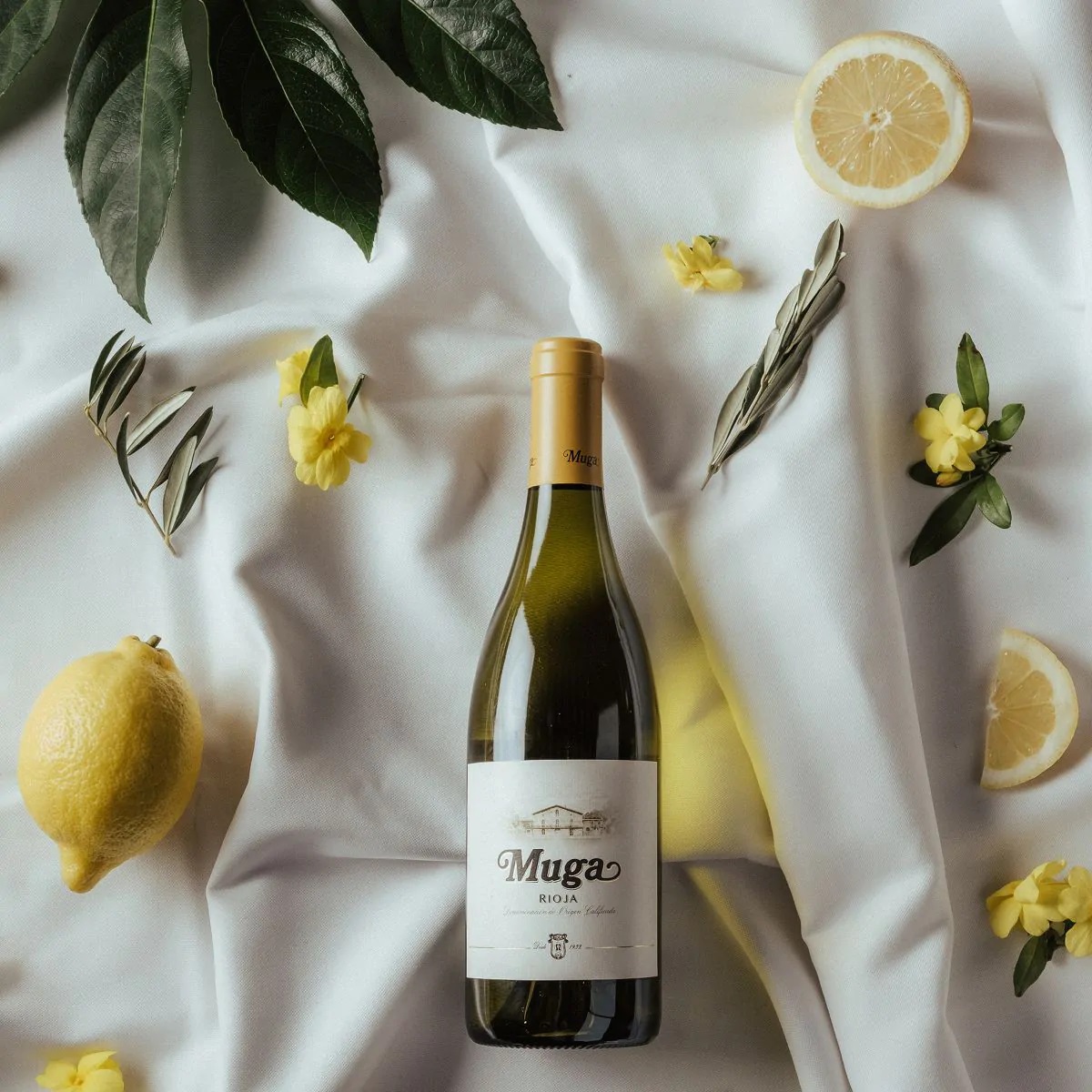Muga White Rioja