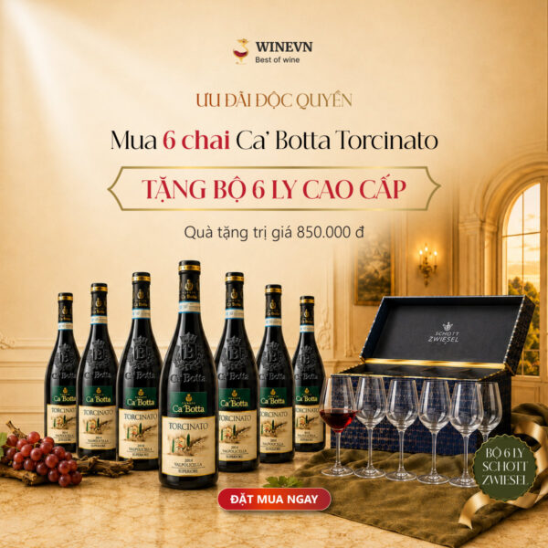 Banner rượu vang Ca’ Botta Torcinato