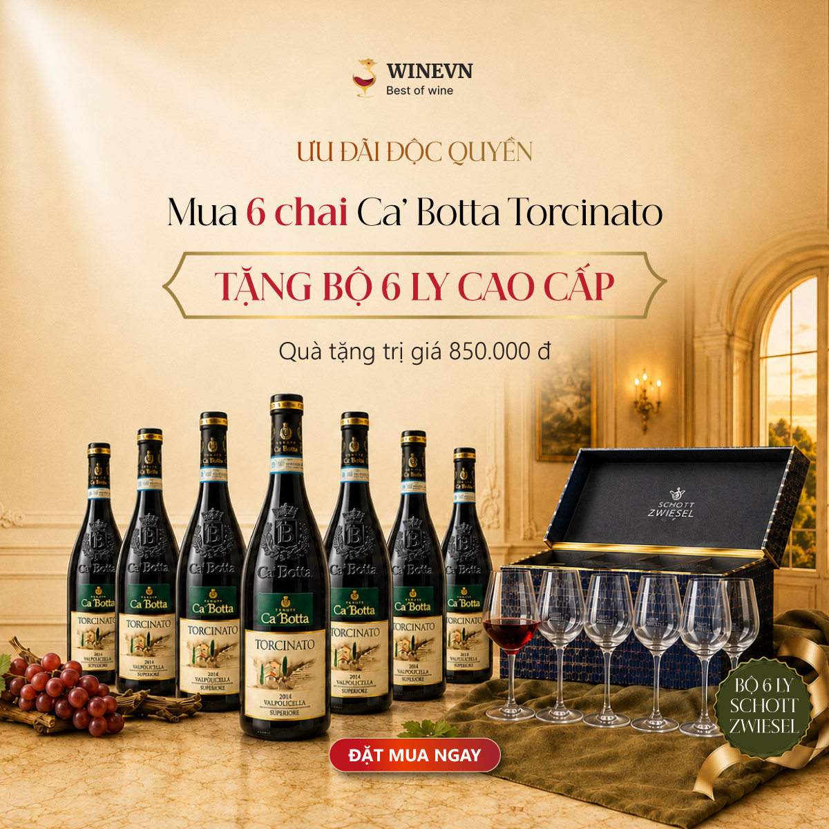 Banner rượu vang Ca’ Botta Torcinato