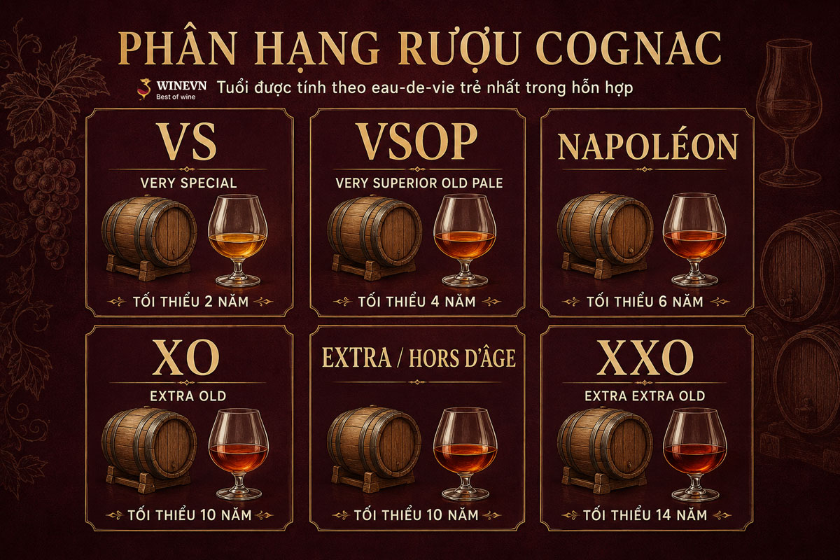 Phân hạng rượu Cognac