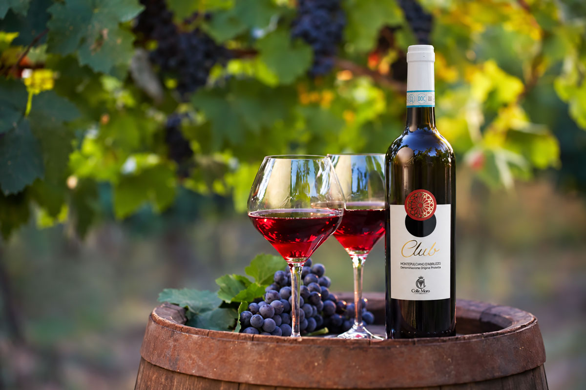 vang CLUB Montepulciano D’Abruzzo DOP
